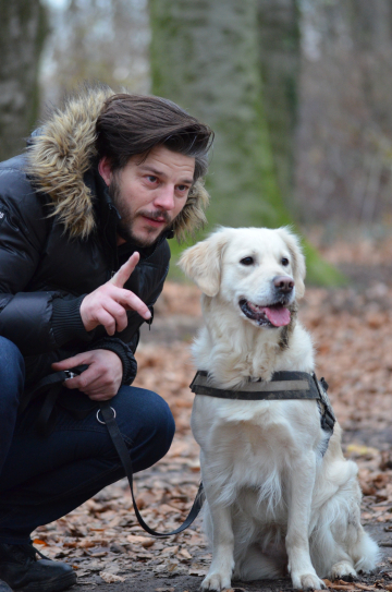 Erstberatung Einzeltraining in Braunschweig: Hundeschule Helmstedt Braunschweig