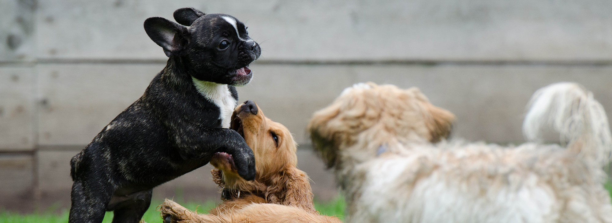 Zu den Veranstaltungen